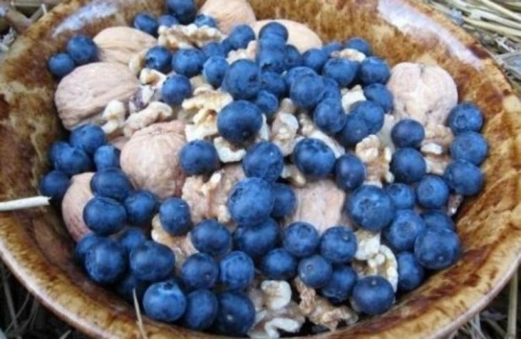 7 τροφές που σάς βοηθούν να ζήσετε περισσότερο