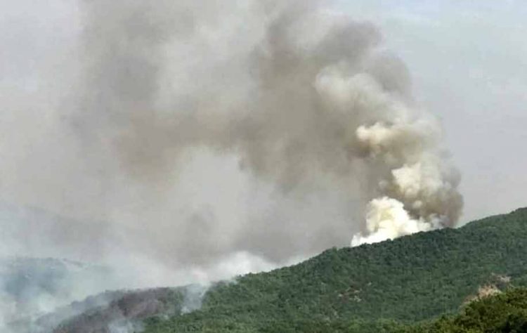 Συνεχίζει το καταστροφικό της έργο η πυρκαγιά μεταξύ Φελλίου και Καρπερού – Μέχρι την Καλαμπάκα οι καπνοί