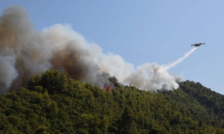 Φωτιές στη Λάρισα: Υπό έλεγχο οι πυρκαγιές σε Σαραντάπορο και Ανατολή – Επτά «μέτωπα» στη Θεσσαλία