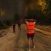 Στην εποχή των Big Fires – Πώς η εγκατάλειψη της γεωργίας ευνοεί τις δασικές πυρκαγιές