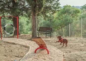 Πάρκο σκύλων με ανακυκλωμένα υλικά στα Τρίκαλα