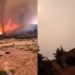 Τρομακτικό βίντεο από τα Βίλια: Στρόβιλος φωτιάς εκτόξευσε κορμό δέντρου προς τους πυροσβέστες