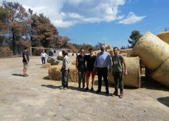 Χρήστος Μιχαλάκης: «Η αλληλεγγύη νικά την καταστροφή»