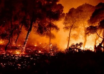 Σε ετοιμότητα και επιφυλακή όλες οι υπηρεσίες της Περιφέρειας Θεσσαλίας λόγω του αυξημένου κινδύνου εκδήλωσης πυρκαγιάς