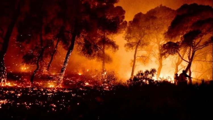 Σε ετοιμότητα και επιφυλακή όλες οι υπηρεσίες της Περιφέρειας Θεσσαλίας λόγω του αυξημένου κινδύνου εκδήλωσης πυρκαγιάς
