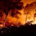 Σε ετοιμότητα και επιφυλακή όλες οι υπηρεσίες της Περιφέρειας Θεσσαλίας λόγω του αυξημένου κινδύνου εκδήλωσης πυρκαγιάς