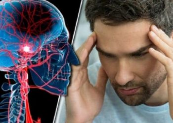 Έμφραγμα – Εγκεφαλικό επεισόδιο: Ποιοι δεν κινδυνεύουν – Ποιο είναι το «μυστικό» της καρδιαγγειακής υγείας
