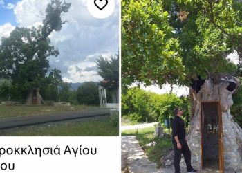 Η Δεντροκκλησιά του Αγίου Παϊσίου ξεχώρισε και βραβεύτηκε από το Trip Advisor