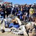 All For Blue: Έχει αφαιρέσει 300 τόνους απορριμμάτων από τις ελληνικές θάλασσες