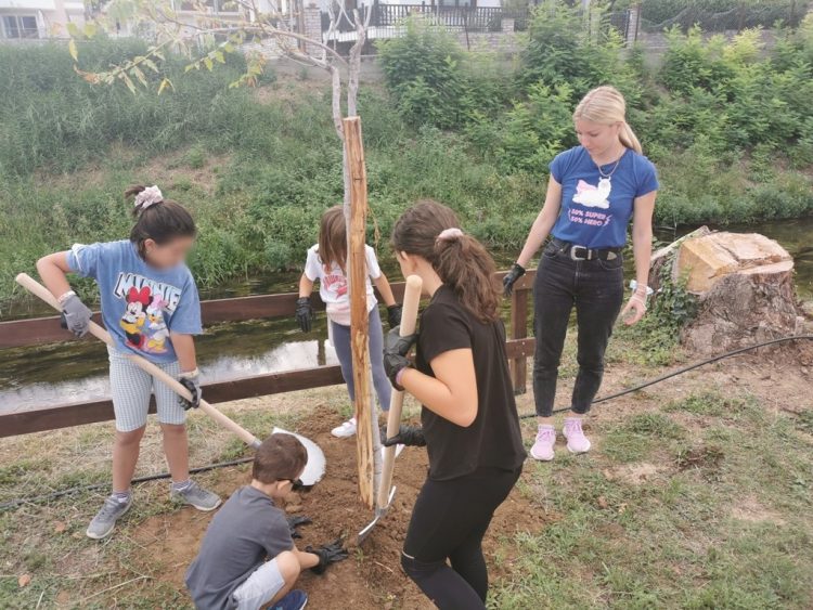 150 δέντρα πρασινίζουν το «νησάκι» του Αγιαμονιώτη