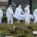 Ινδία: Συναγερμός μετά τον θάνατο 12χρονου από τον ιό Nipah – Είναι φονικότερος από τον κορονοϊό