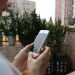 Πώς να επιδιορθώσετε την οθόνη του iPhone σας με οδοντόκρεμα