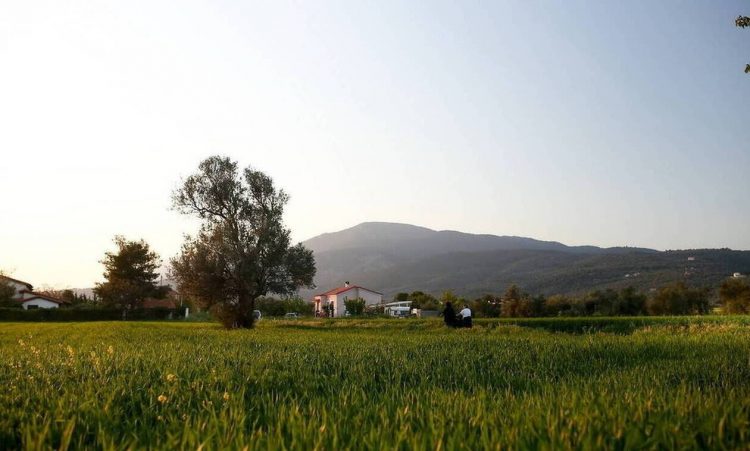 Καλοκαιρινός σήμερα ο καιρός – Πού θα «σκαρφαλώσει» ο υδράργυρος