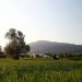 Καλοκαιρινός σήμερα ο καιρός – Πού θα «σκαρφαλώσει» ο υδράργυρος