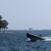 Βόλος: Νεκρός 72χρονος ψαροντουφεκάς