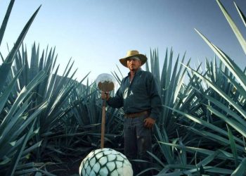 Tequila: Η ιστορία ενός λαού κι ενός τόπου μέσα από ένα ξακουστό ποτό