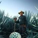 Tequila: Η ιστορία ενός λαού κι ενός τόπου μέσα από ένα ξακουστό ποτό