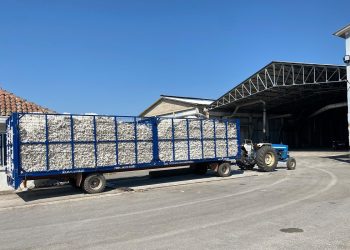 Φωτιά στο ξηραντήριο της ΕΑΣ Τρικάλων: Κανονικά οι παραλαβές και η εκκόκκιση βαμβακιού στο εκκοκκιστήριο 