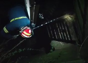 Τρίκαλα: Πυροσβέστες έσωσαν αλεπού που είχε πέσει σε πηγάδι 7 μέτρων στη Φιλύρα (video)
