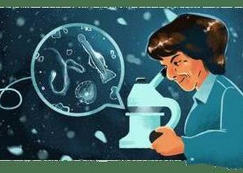María de los Ángeles Alvariño González: Η Google τιμά την διάσημη Ισπανίδα βιολόγο και ωκεανογράφο