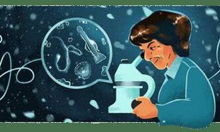 María de los Ángeles Alvariño González: Η Google τιμά την διάσημη Ισπανίδα βιολόγο και ωκεανογράφο