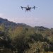 Ψεκασμοί με drones για την καταπολέμηση του δάκου της ελιάς