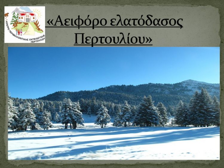 Μαθητές/τριες επισκέπτονται διαδικτυακά το δάσος Περτουλίου