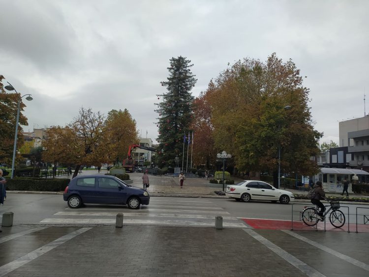 Τρίκαλα: Φόρεσε τα γιορτινά το ψηλότερο φυσικό χριστουγεννιάτικο δέντρο της Ελλάδας