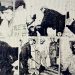 Οικογενειακό έγκλημα για την προίκα στο Κιλκίς – «Εκπληκτικό στη σύλληψη, πρωτοφανές στην αγριότητα»
