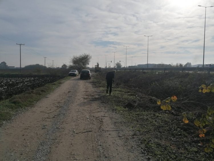 Ολοκληρώθηκε από την Περιφέρεια Θεσσαλίας ο καθαρισμός της βλάστησης στο παράπλευρο δίκτυο Εθνικής Οδού Τρικάλων – Λάρισας