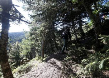 Weekend στο βουνό: Ένα διήμερο στα ορεινά καταφύγια της Πάρνηθας