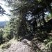 Weekend στο βουνό: Ένα διήμερο στα ορεινά καταφύγια της Πάρνηθας