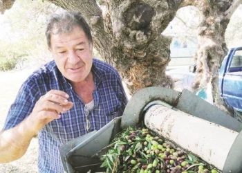Τρομερή πατέντα: Κρητικός έφτιαξε πολυμηχάνημα που ξεφυλλίζει 5 τσουβάλια ελιές σε 5 λεπτά!