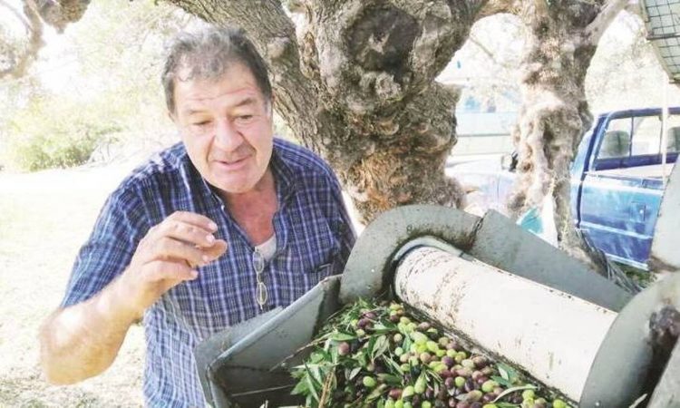 Τρομερή πατέντα: Κρητικός έφτιαξε πολυμηχάνημα που ξεφυλλίζει 5 τσουβάλια ελιές σε 5 λεπτά!