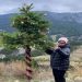 Ένα ξεχωριστό χριστουγεννιάτικο δέντρο στο Ανήλιο Μετσόβου-Ζευγάρι στολίζει δέντρο στο βουνό