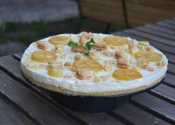 Πανεύκολο λεμονογλυκό ψυγείου