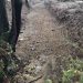 Καθαρισμός ρέματος στον Δήμο Μετεώρων