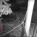 Αρκούδες κι αλεπούδες “σουλατσάρουν” ανενόχλητες στις αυλές των σπιτιών στο Χαλίκι Ασπροποτάμου