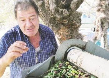 Τρομερή πατέντα: Τρικαλινός έφτιαξε πολυμηχάνημα που ξεφυλλίζει 5 τσουβάλια ελιές σε 5 λεπτά!