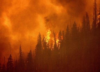 Τα 10 ρεκόρ που σημάδεψαν το 2021: Από τις μέγα-πυρκαγιές έως τα ταξίδια στο Διάστημα