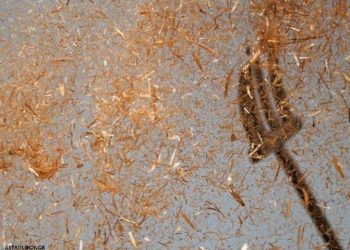 Ζώδια σήμερα 16/01: Ξεκαθάρισε την ήρα από το στάρι