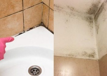 Εξαφανίστε μούχλα και υγρασία από το μπάνιο σε 6 απλά βήματα και κάντε το να λάμπει σαν καινούριο