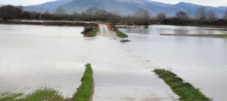 Γιαλός ο κάμπος της Φαρκαδόνας από την υπερχείλιση του Πηνειού