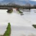 Γιαλός ο κάμπος της Φαρκαδόνας από την υπερχείλιση του Πηνειού