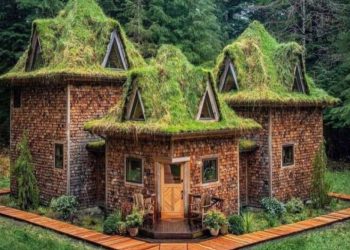 The Castle Cabin: Παραμυθένια «καταφύγια» σε δάσος βροχής