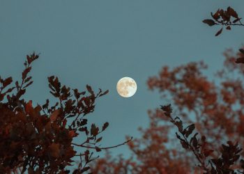 H Πανσέληνος του Λύκου θα αποτελέσει μία νέα αρχή για αυτά τα 3 ζώδια