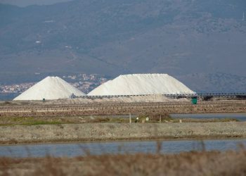 Χειμώνας στους υγρότοπους της Μυτιλήνης – Εξορμήσεις παρατήρησης της φύσης