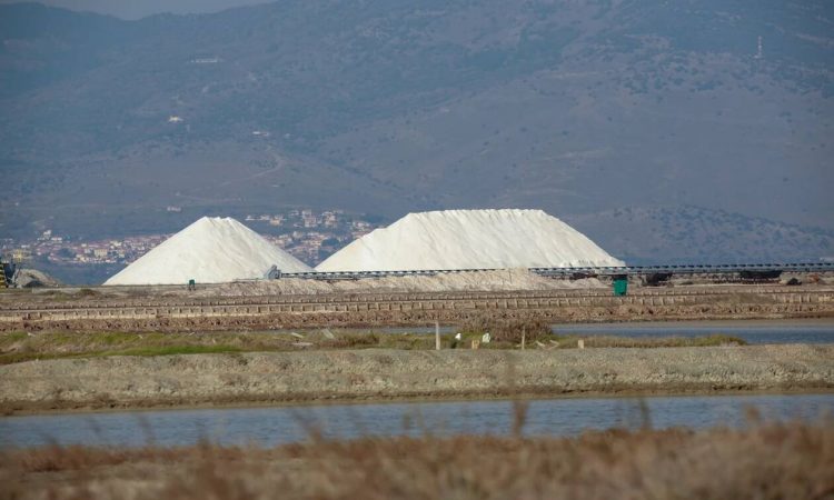 Χειμώνας στους υγρότοπους της Μυτιλήνης – Εξορμήσεις παρατήρησης της φύσης