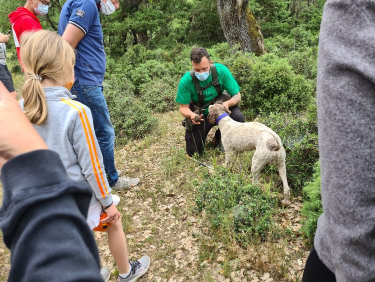 Έναρξη περιόδου κυνηγιού τρούφας στα Μετέωρα
