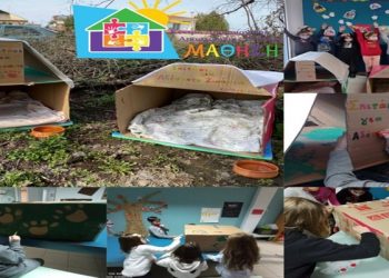 Τα παιδιά των ΚΔΑΠ ΜΑΘΗΣΗ φτιάχνουν σπιτάκια για τα αδέσποτα της γειτονιάς
